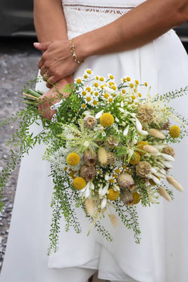 Nuances Passionnées