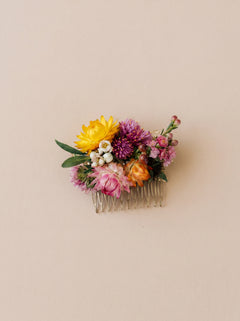 Peigne Multicolor
